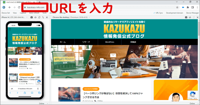 Biskで見たWebサイト画面