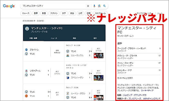 ナレッジパネル